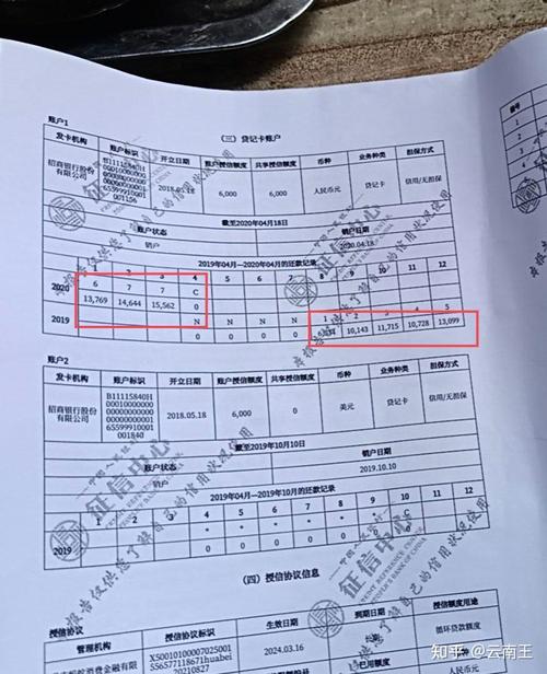 解析车辆抵押贷款的征信要求(车辆抵押贷款在个人征信能查到吗)